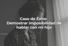 Demostrar imposibilidad de hablar con mi hijo en Málaga Demostrar-imposibilidad-de-hablar-con-mi-hijo-en-Cadiz-Perito-Informatico-en-malaga