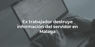 Ex trabajador destruye informacion del servidor en Malaga-Perito Informatico Malaga