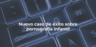 Nuevo caso de exito sobre pornografia infantil en Malaga-Perito Informatico Malaga