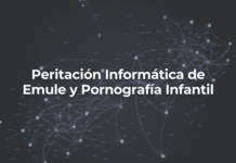 Peritación Informática de Emule y Pornografía Infantil en Málaga Peritacion Informatica de Emule y Pornografia Infantil-Perito Informatico Malaga