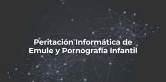 Peritacion Informatica de Emule y Pornografia Infantil-Perito Informatico Malaga