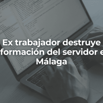 Ex trabajador destruye informacion del servidor en Malaga-Perito Informatico Malaga